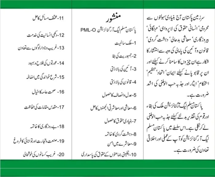 PML-O party brochure back