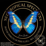 Neotropical Specimens — House Insects of Peru E.I.R.L.