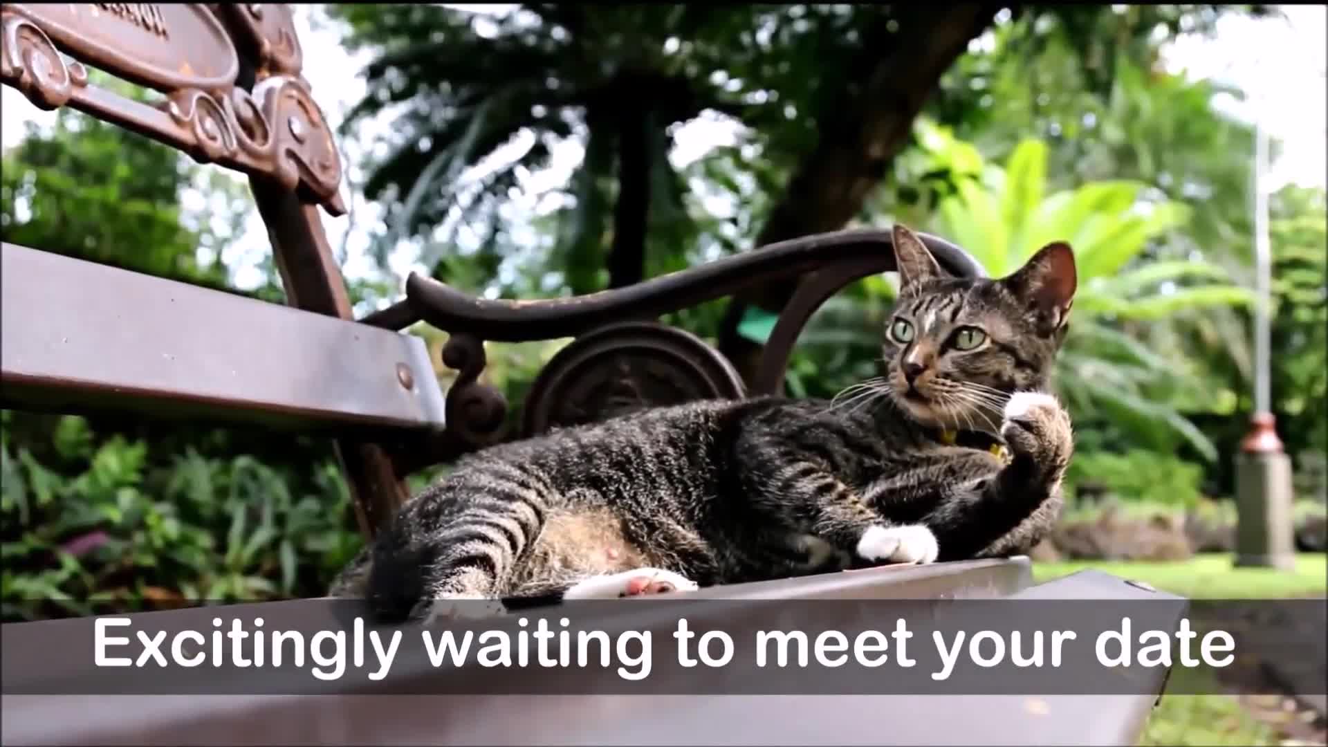 video poster