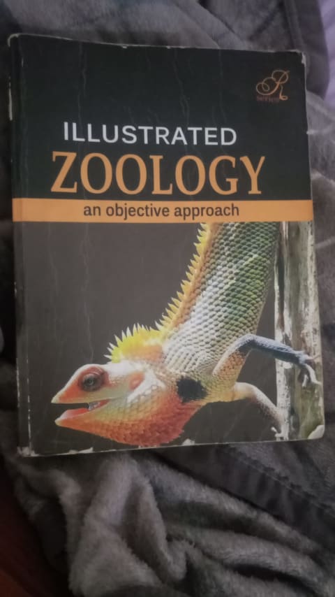 Illustrated zoology