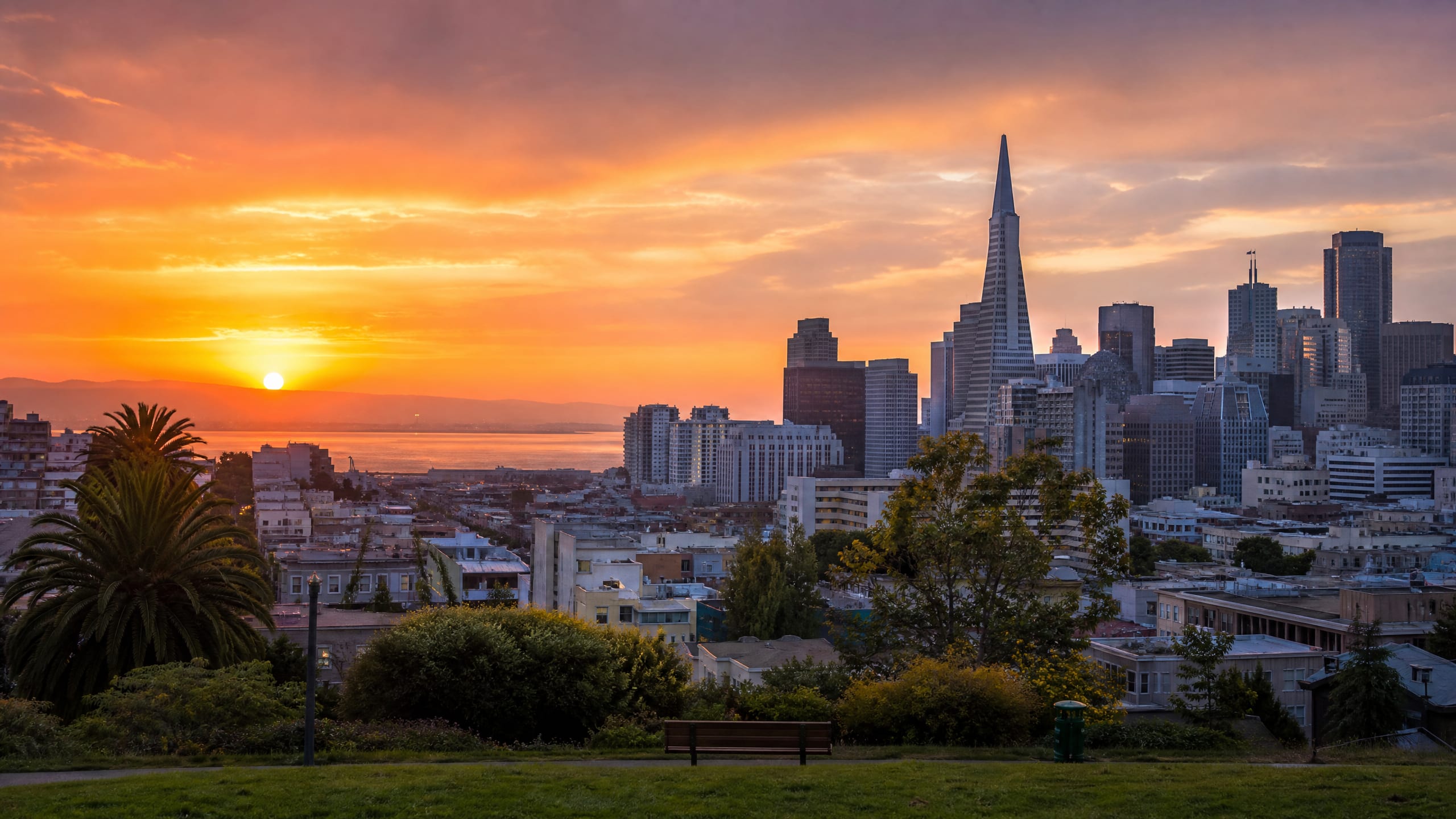 Person feeling free and connected after therapy near me in San Francisco, CA