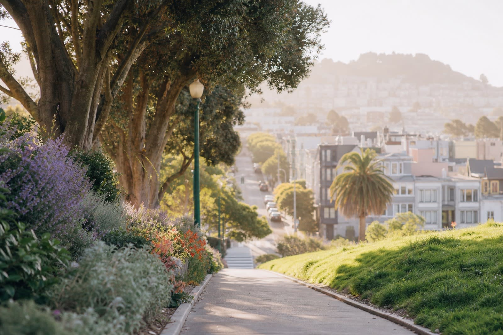 Child therapy san francisco — parent and child in Hayes Valley