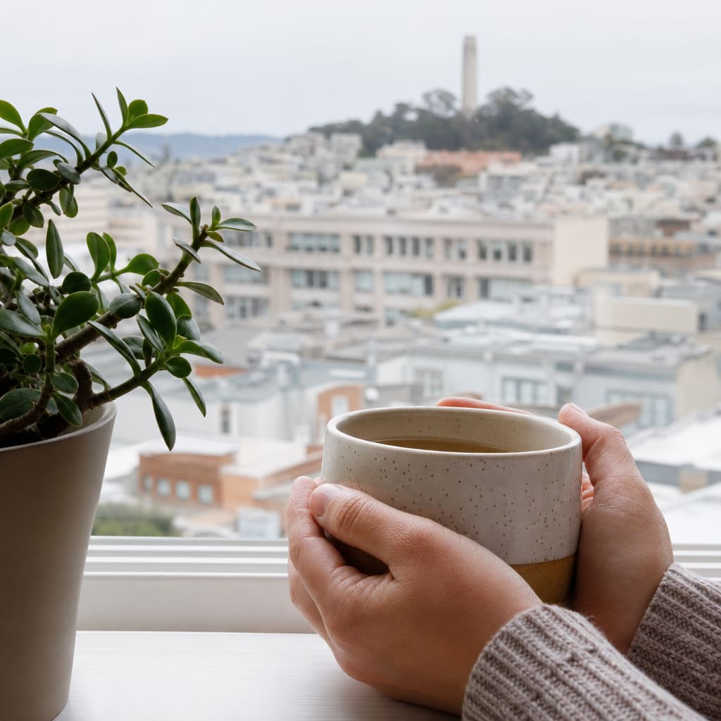 San Francisco personality disorders treatment — building coping skills in therapy