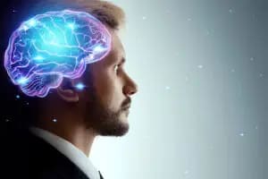 11 Interpersonal Schemas