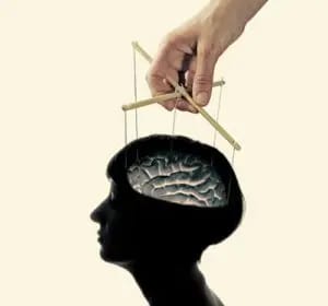 overcome narcissistic abuse syndrome, echoism, and pseudo identify