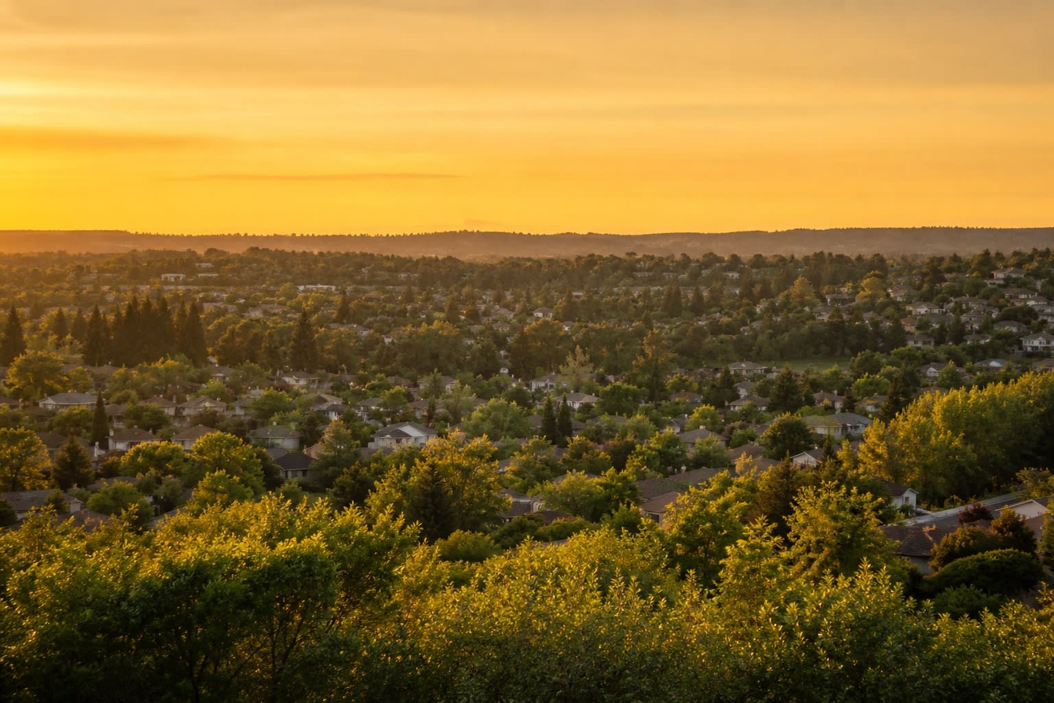 Roseville area