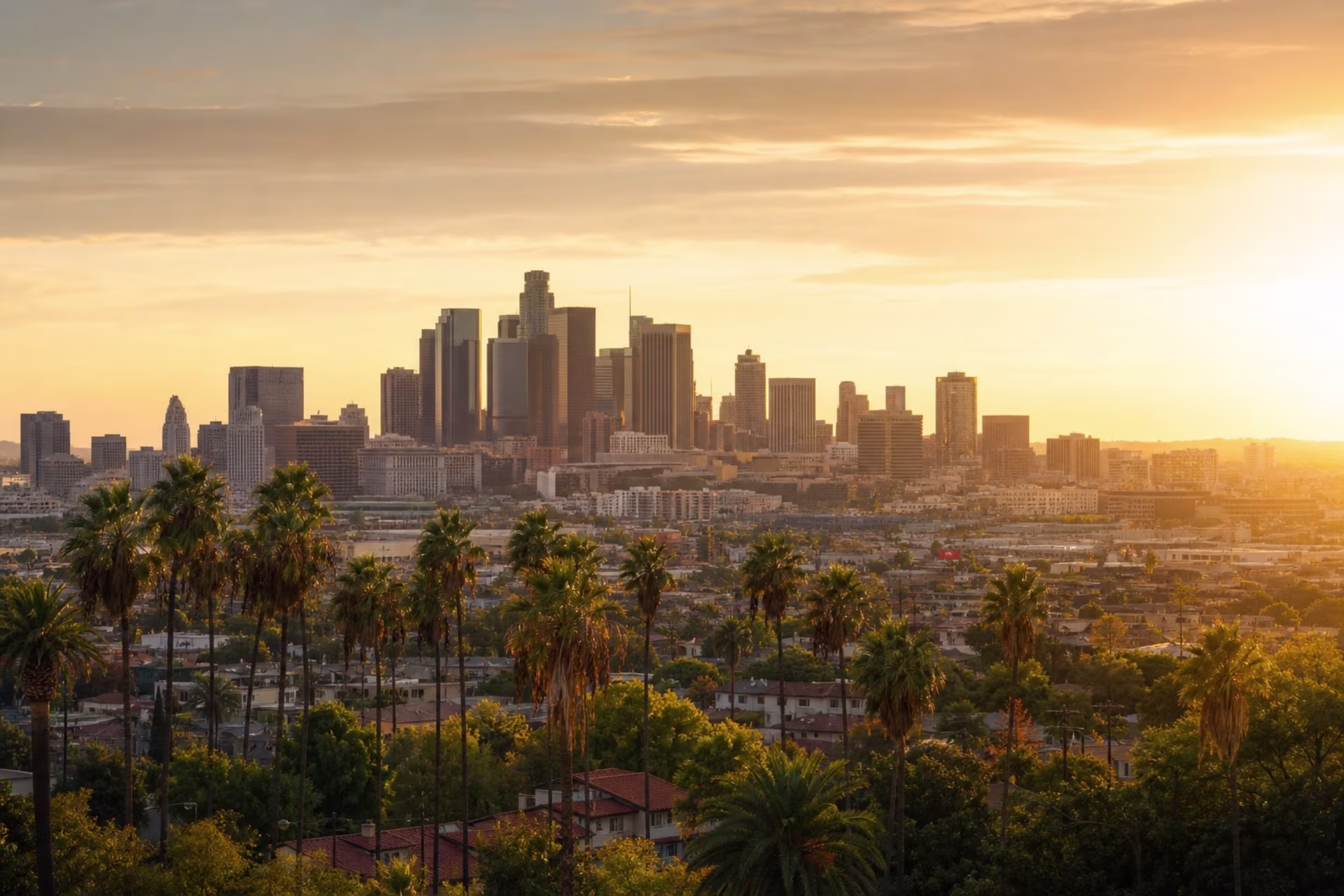 online therapists in los angeles near me — Los Angeles skyline for statewide video therapy