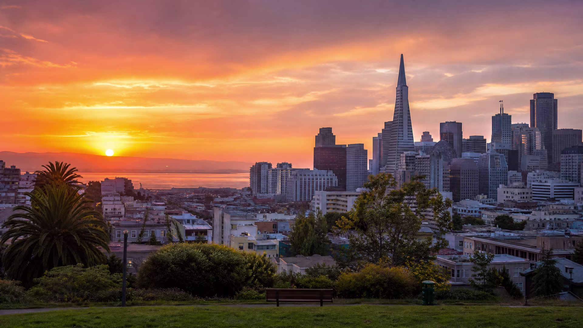 Person feeling free and connected after therapy near me in San Francisco, CA