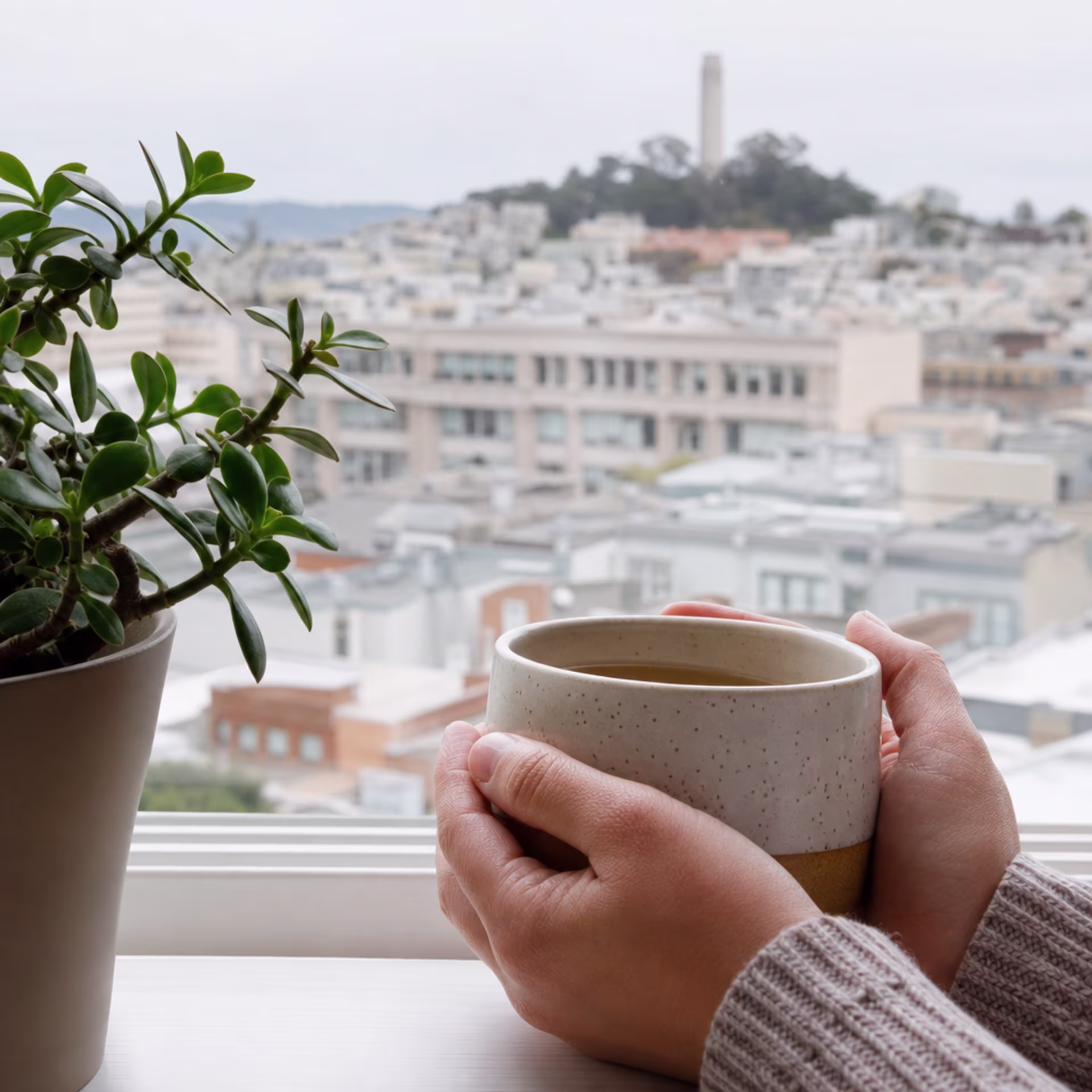 San Francisco personality disorders treatment — building coping skills in therapy