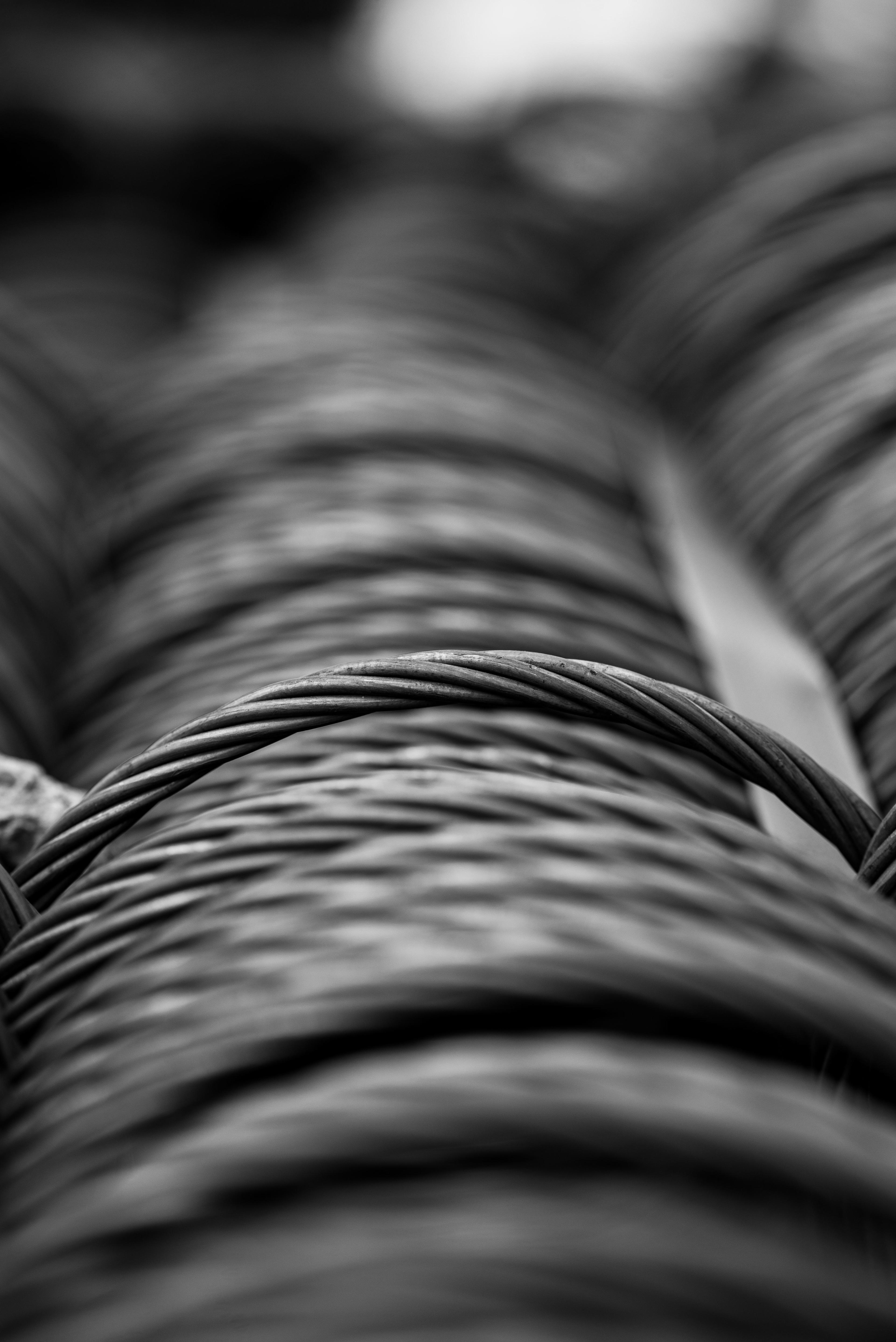 Binding Wire