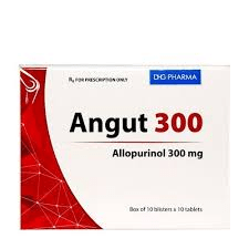 ANGUT 300