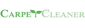 Carpet Cleaner