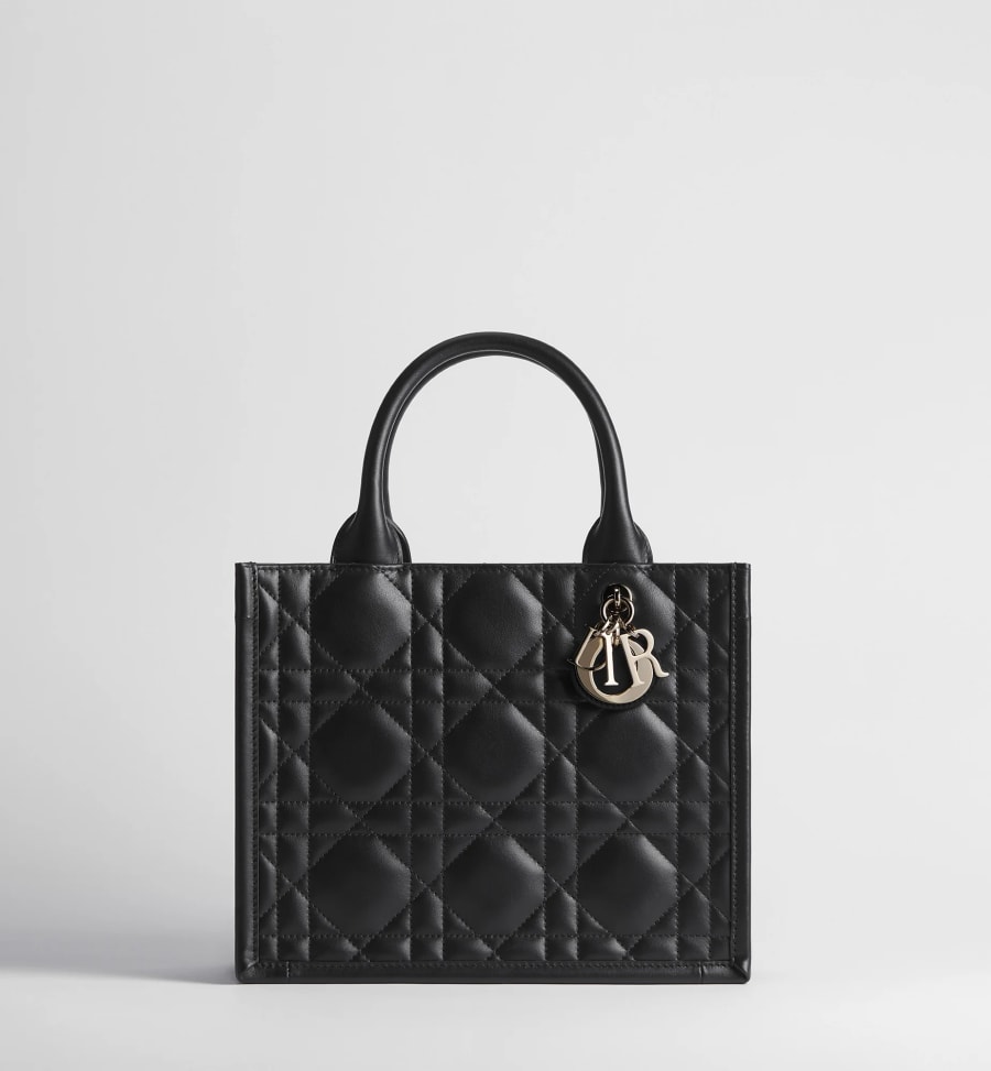 Sac Dior Book Tote Small