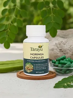 SUPPLEMENT