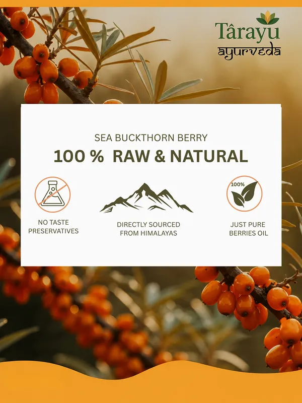 Sea Buckthorn Extract Capsules - Image 3