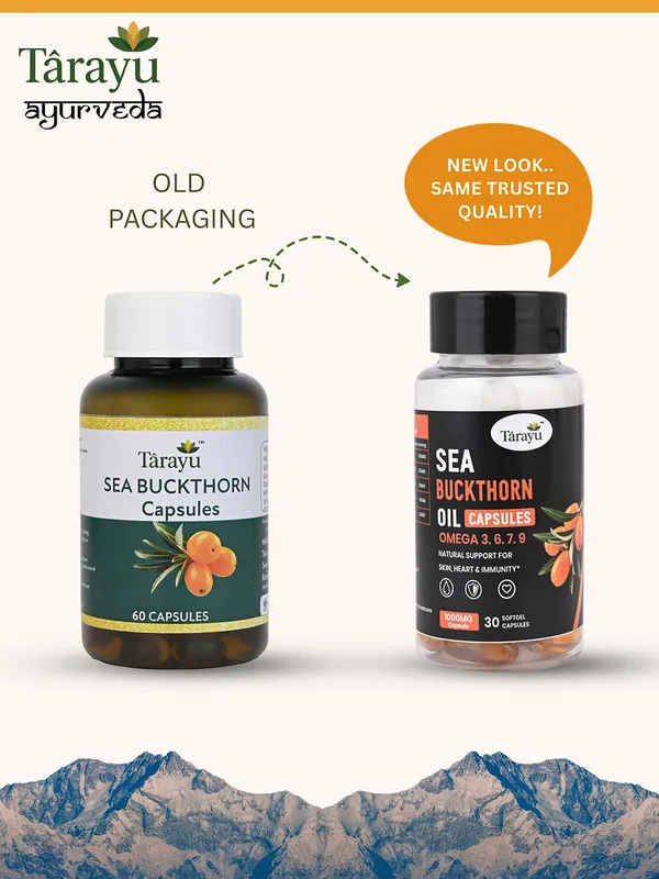 Sea Buckthorn Extract Capsules - Image 2