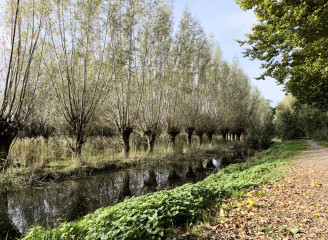 Het Haagse Beemden Eiland