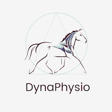 photo de profil dynaphysio