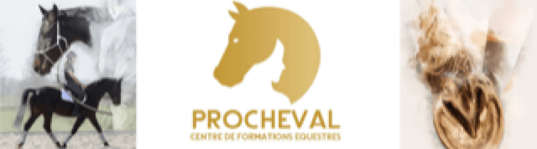 Procheval - Page Kabotin