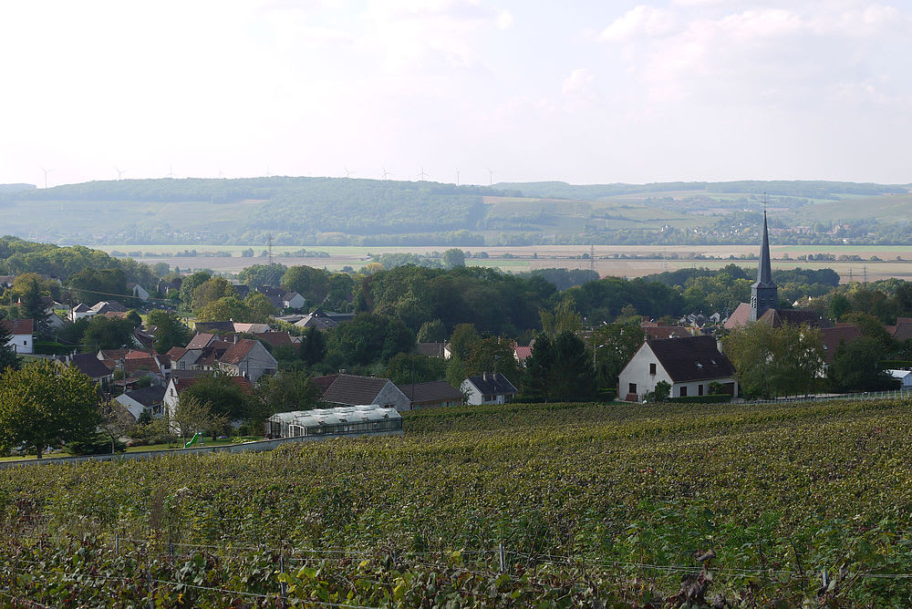 Nesles-la-Montagne