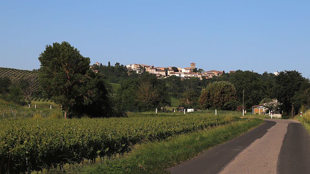 Bellegarde-du-Razès