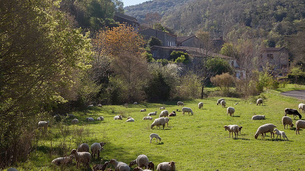 Clermont-sur-Lauquet