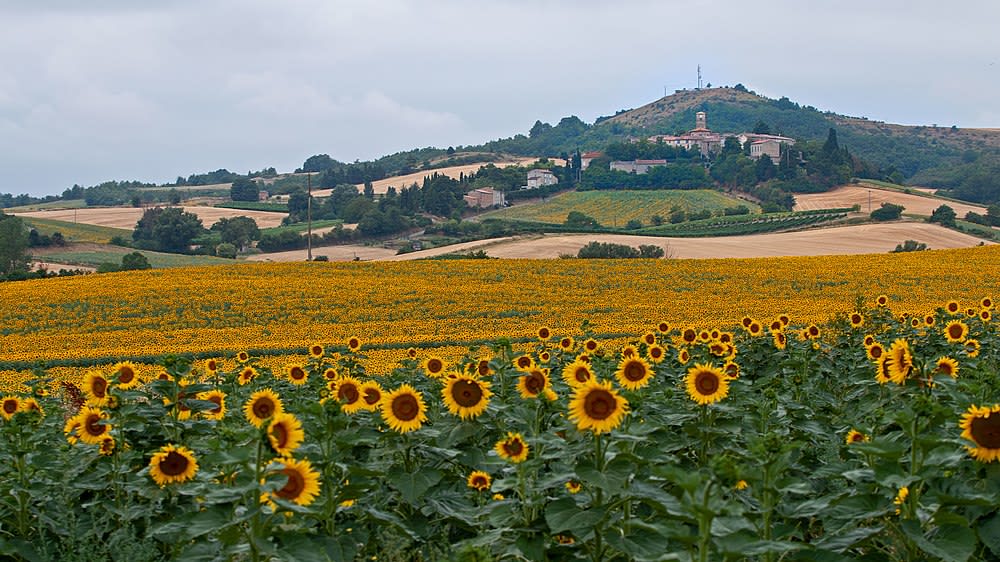 Fenouillet-du-Razès