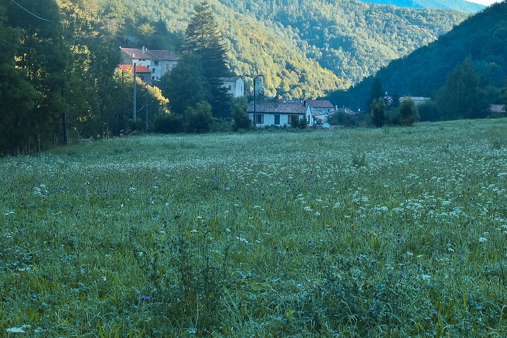 Montfort-sur-Boulzane