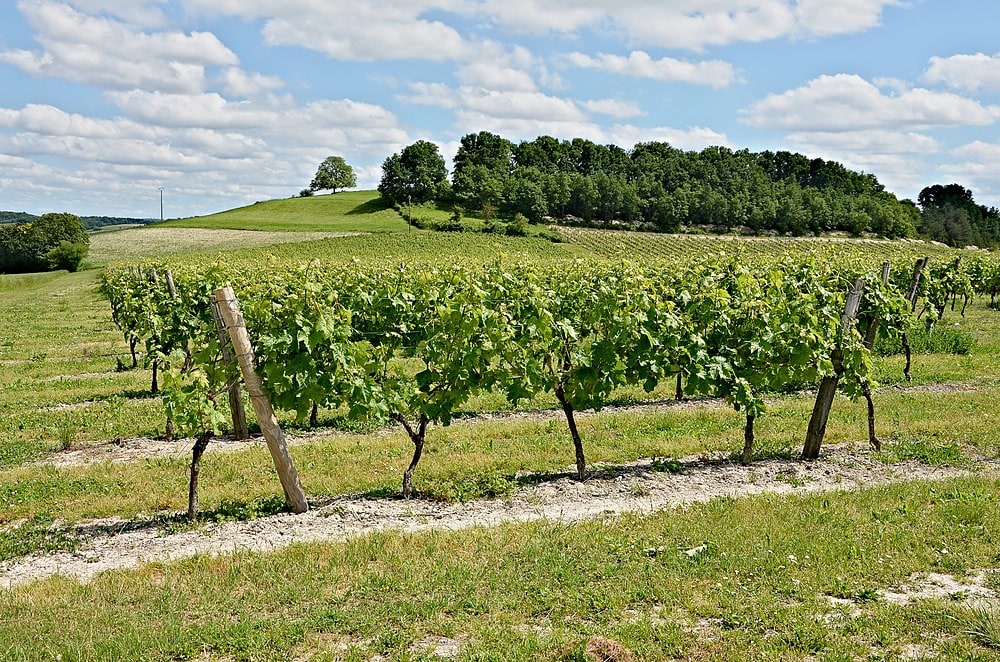 Val des Vignes