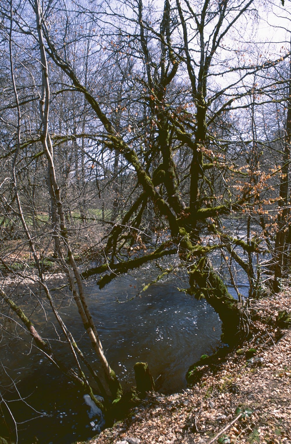 Saint-Pardoux-le-Vieux