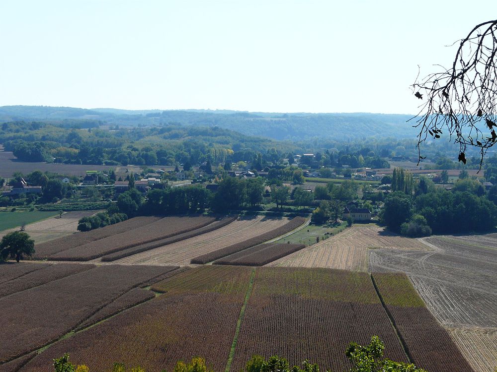 Calès