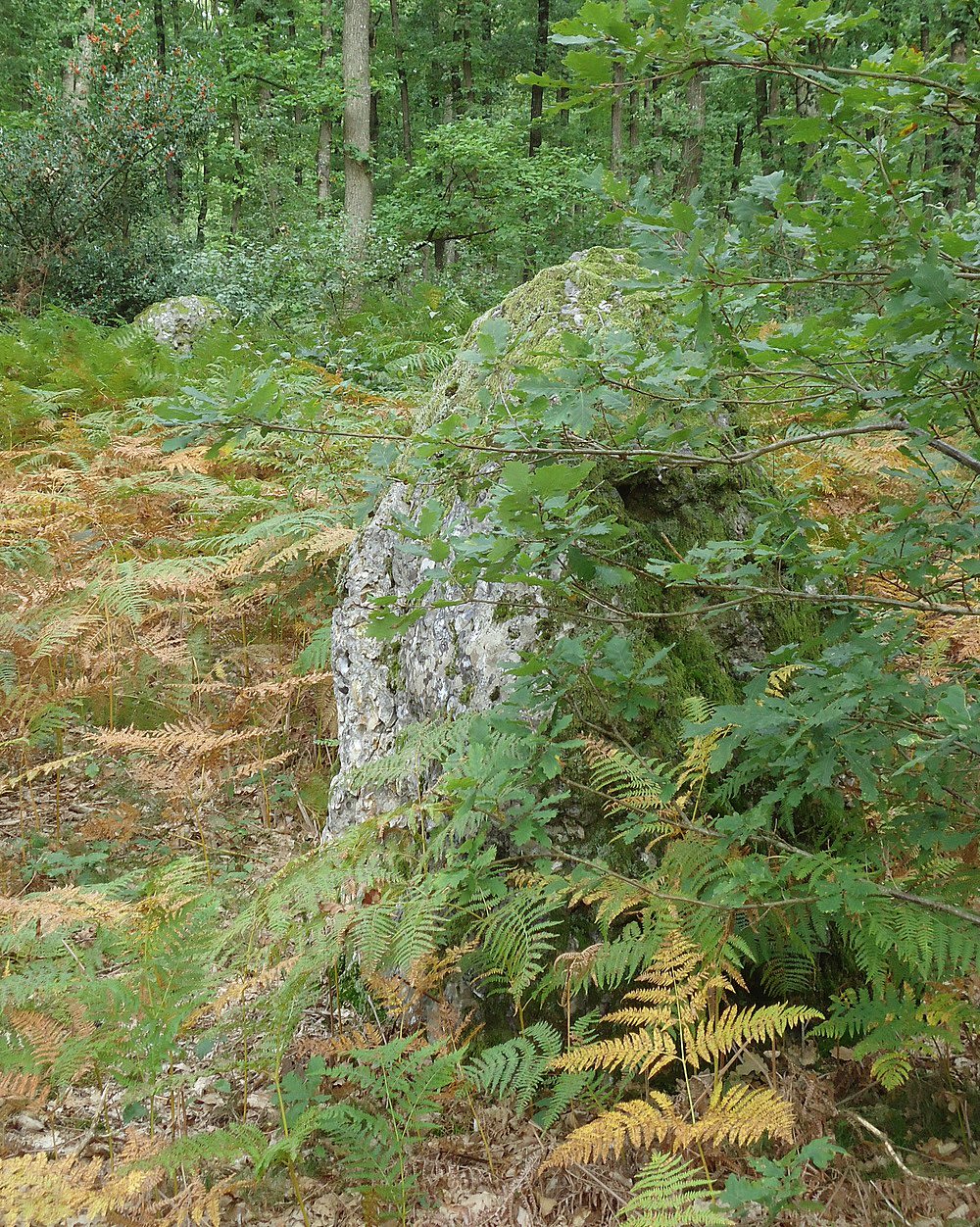 Les Baux-Sainte-Croix