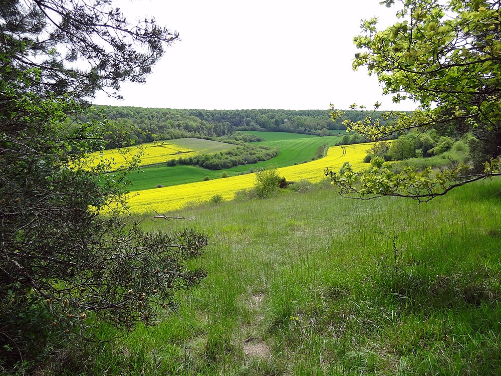 Boncourt