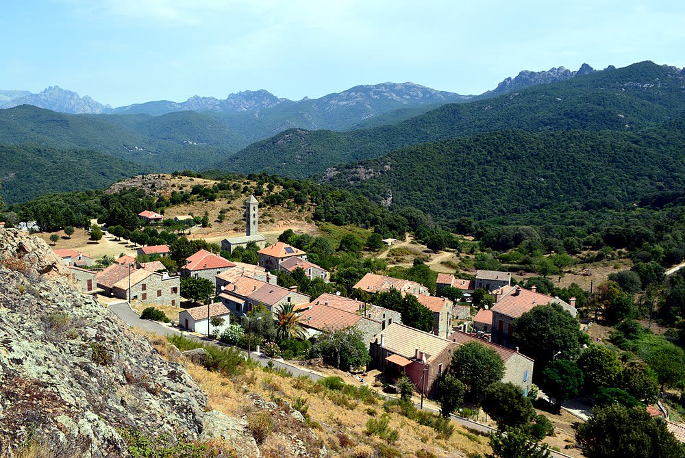 Carbini