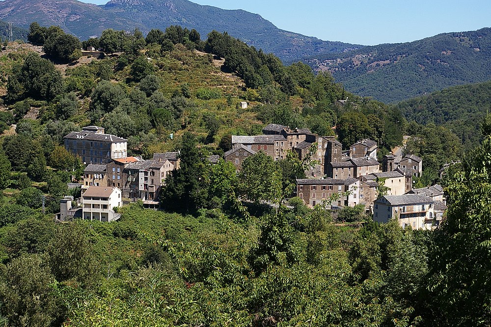 Stazzona