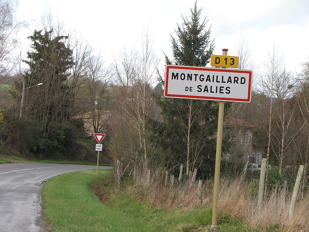 Montgaillard-de-Salies