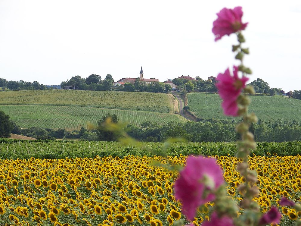 Lagraulet-du-Gers