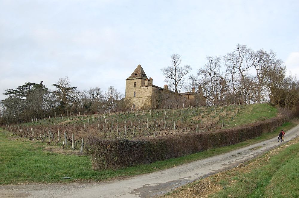 Mirepoix