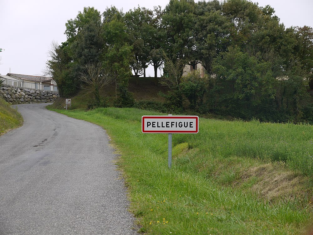 Pellefigue