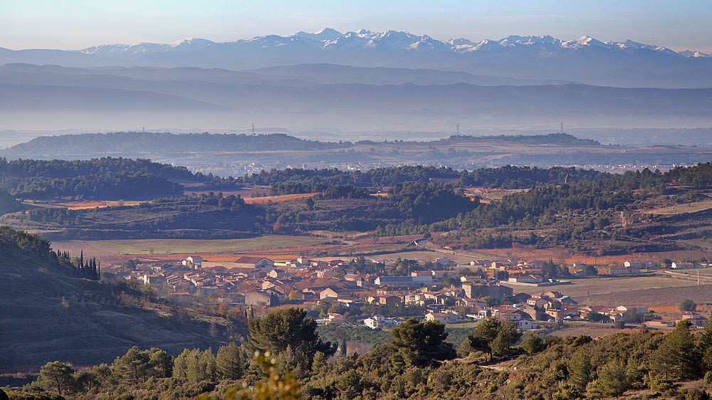 Félines-Minervois