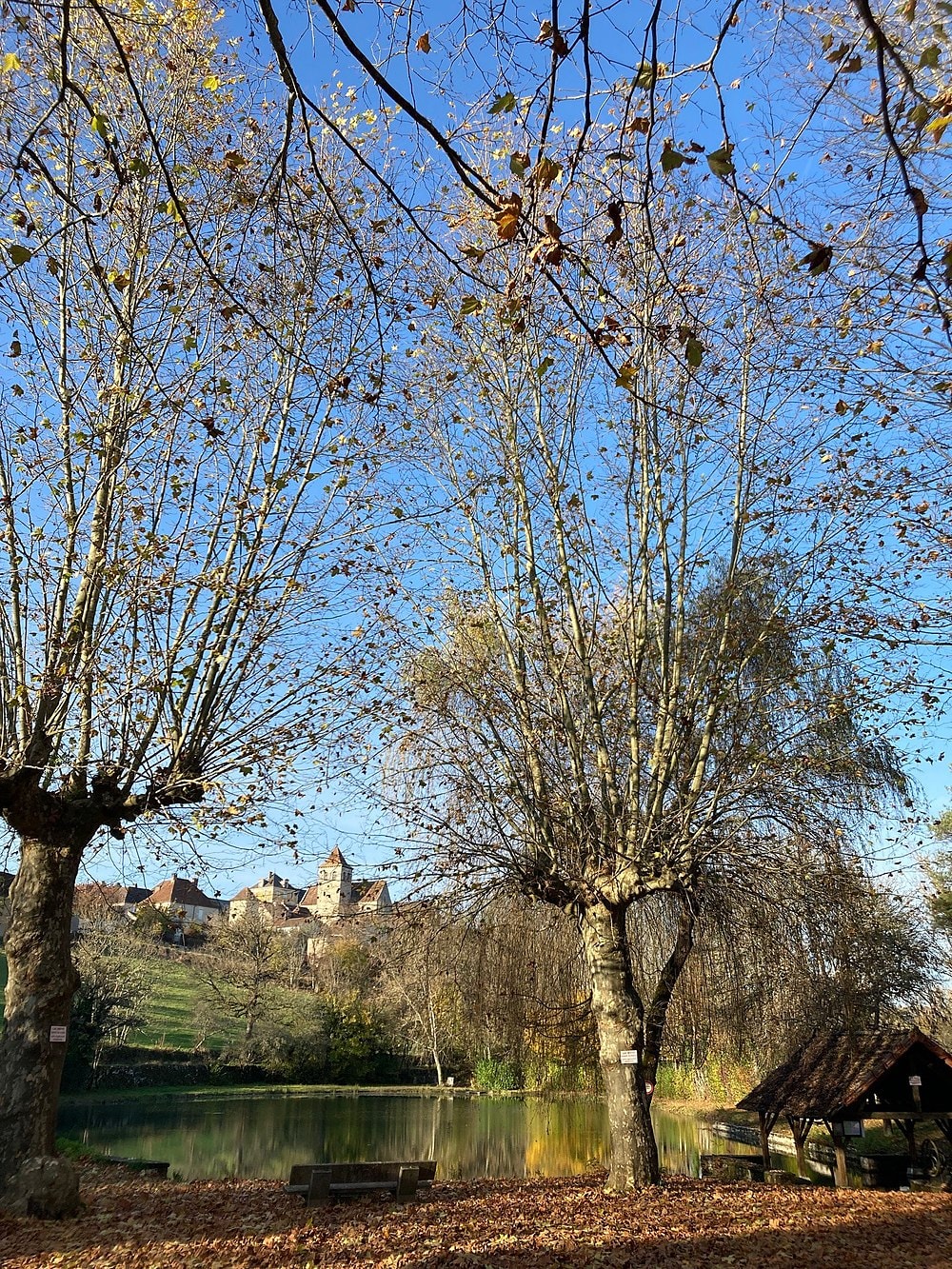Montfaucon
