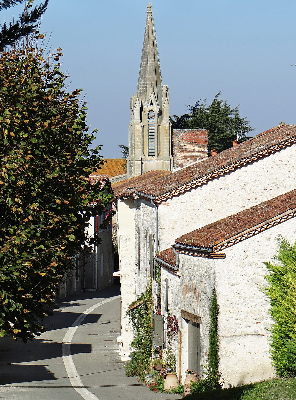 Dolmayrac