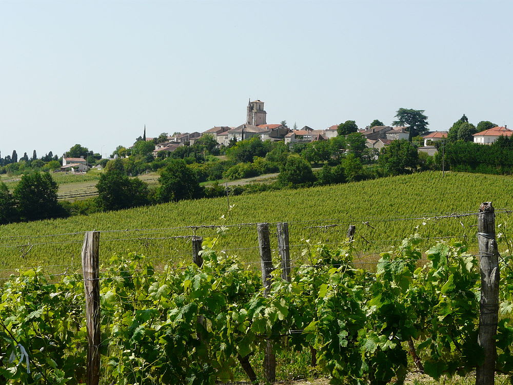 Montagnac-sur-Auvignon