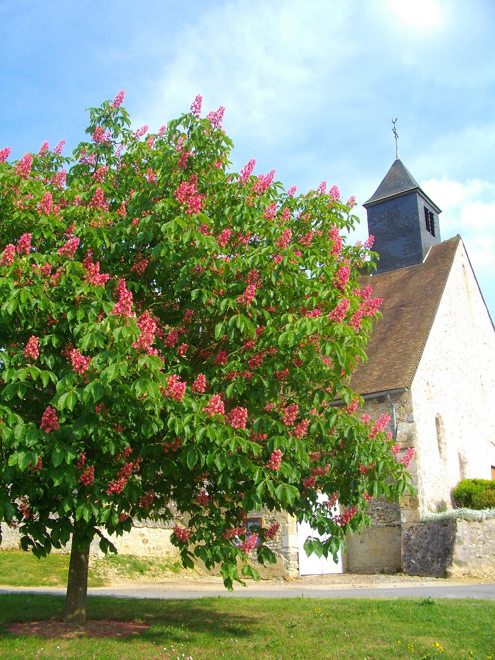 Les Essarts-le-Vicomte