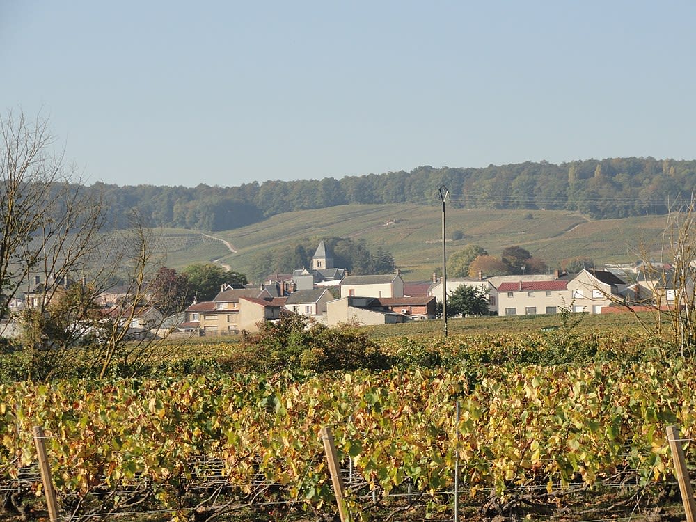 Le Mesnil-sur-Oger