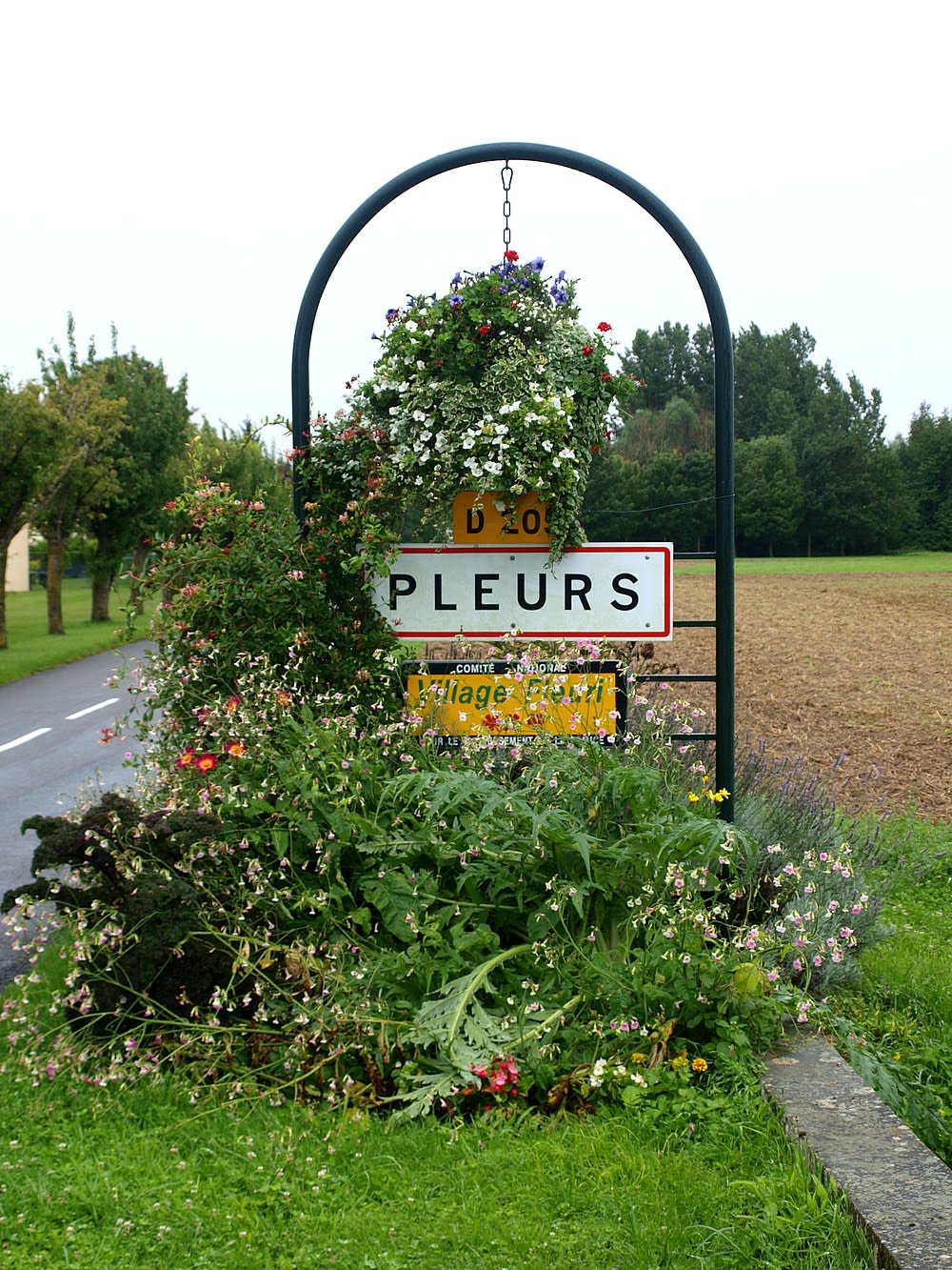 Pleurs