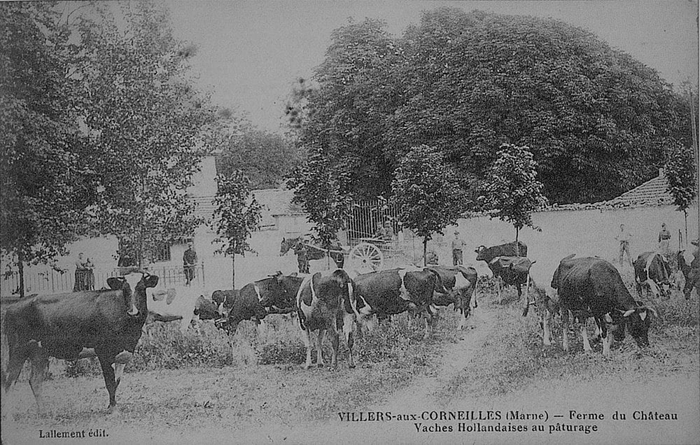 Villiers-aux-Corneilles