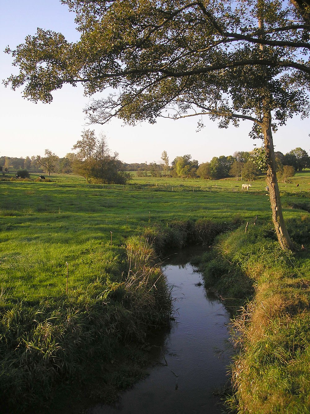 Désertines