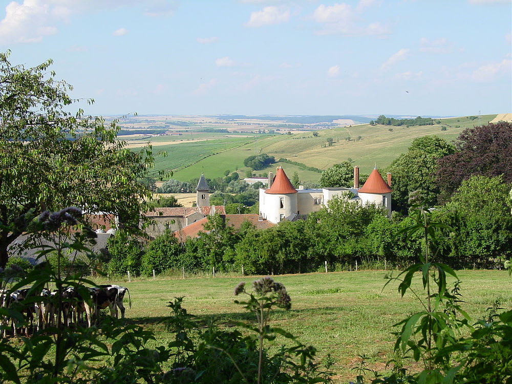 Belleau