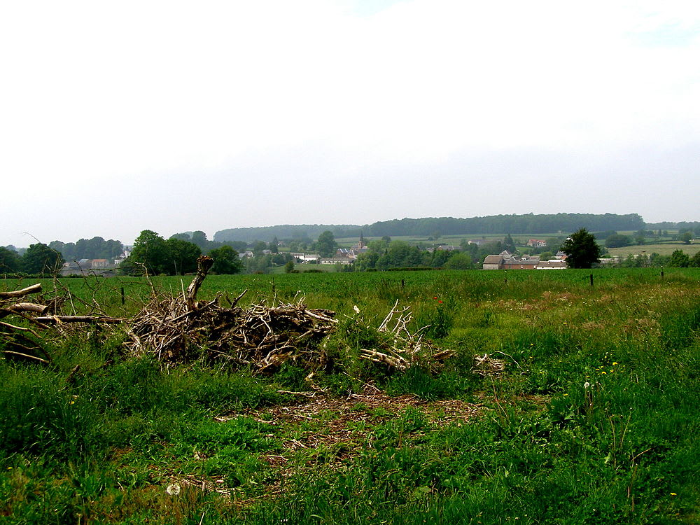 Bérelles